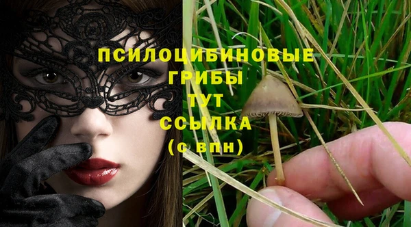 2c-b Балахна