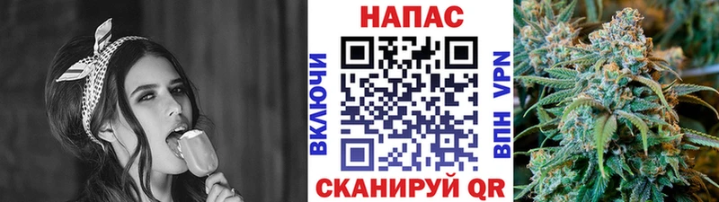 Каннабис планчик  где продают наркотики  Чехов 